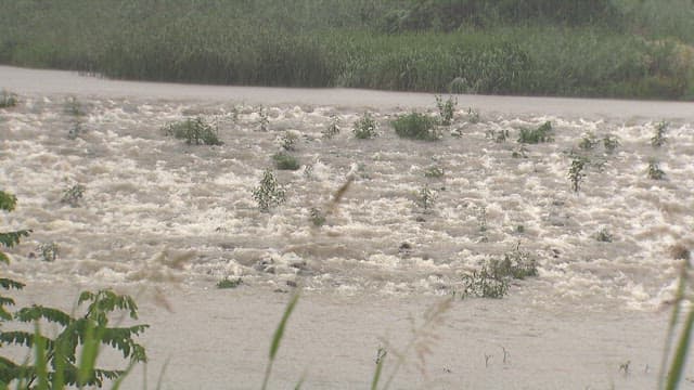 폭우로 인해 격렬하게 범람하는 강물