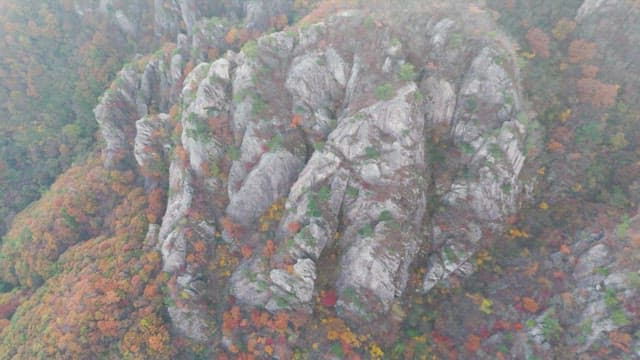 Colorful autumn foliage on rocky mountains