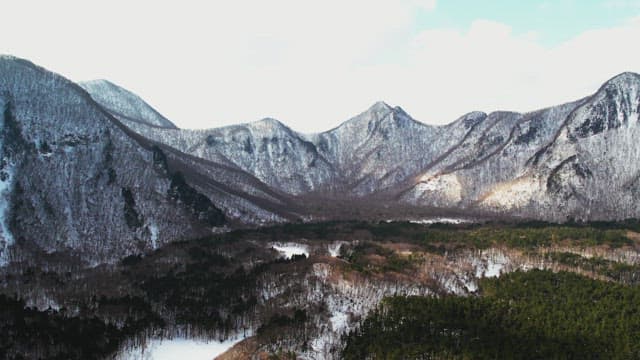 Snowy Mountain Range Overlooking a Forest