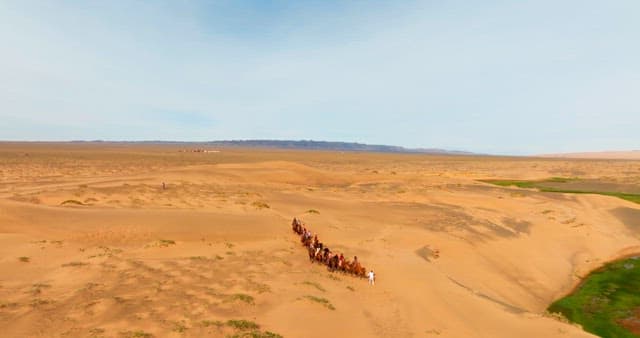 Caravan of camels crossing a desert