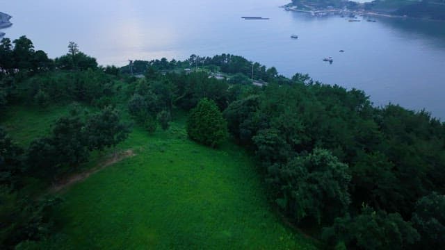 Baekya Bridge and Coastside beyond the Green Forest