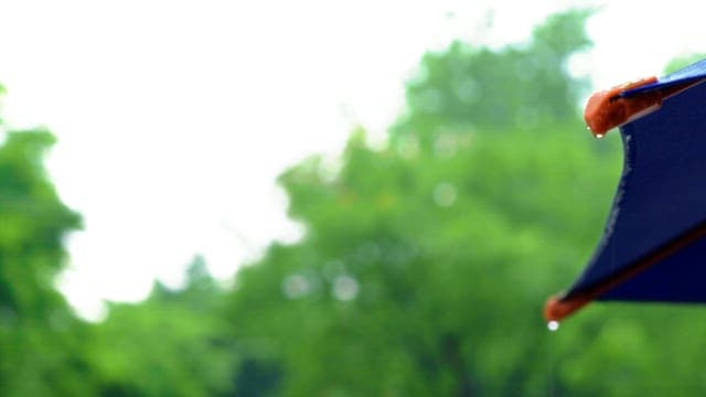 Raindrops falling from a parasol with green trees in the background