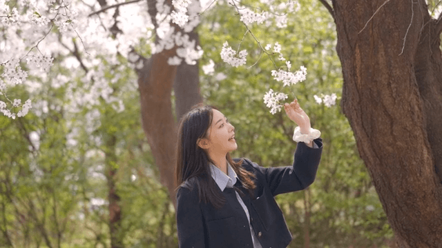 봄에 벚꽃을 즐기는 여성