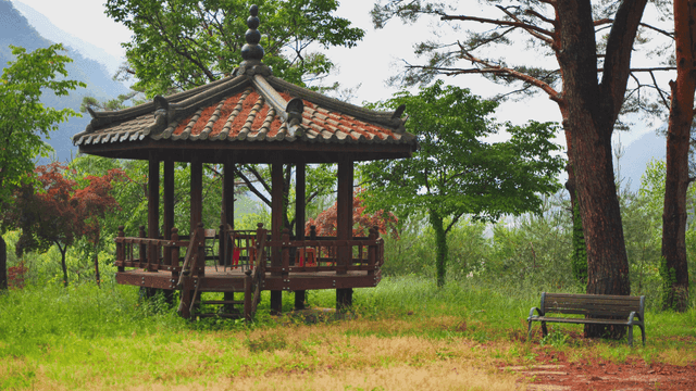비 오는 날 나무로 둘러싸인 정자
