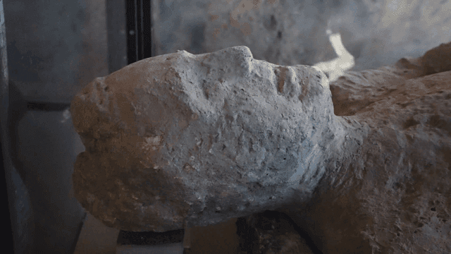 Ancient stone remains in museum