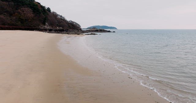 Waves Crashing on Peaceful Sandy Beach