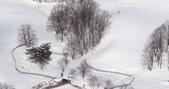 Snow-covered landscape with natural forest recreation area