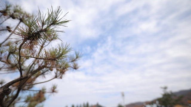 맑은 하늘 아래 시골의 전통 한옥