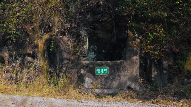 무성한 나무들로 둘러싸인 샘물터