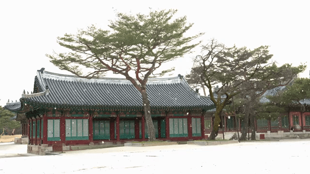 눈이 내리는 창경궁 내부의 풍경