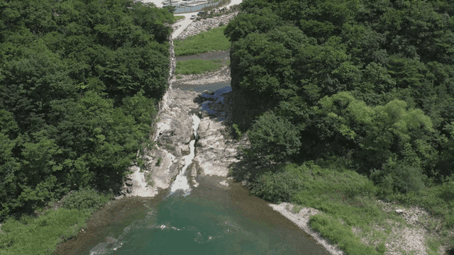 Waterfall surrounded by blue forest