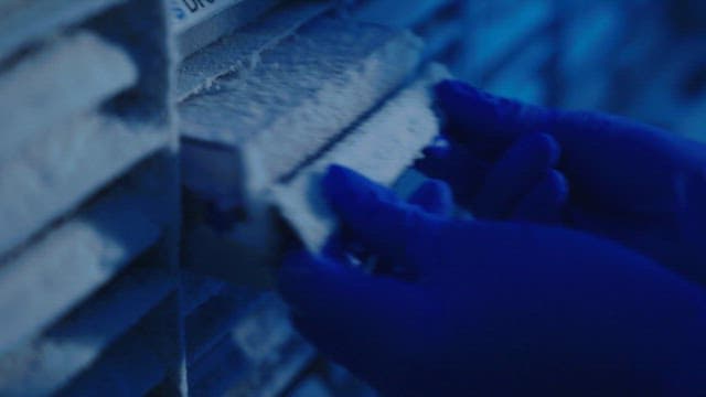사람들의 DNA 데이터베이스 샘플들이 모여 있는 냉동고
