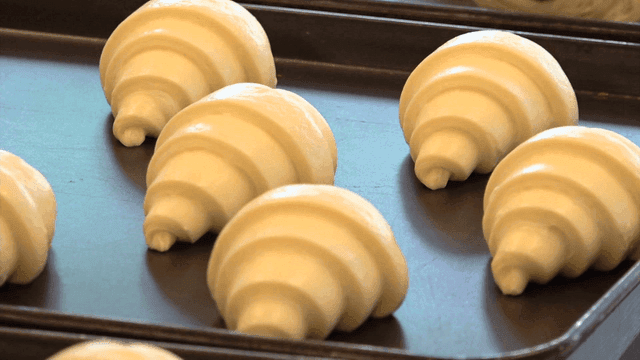 Various bread doughs prepared on baking tray