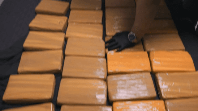 침대 위에 포장된 불법 물품을 올려놓는 형사