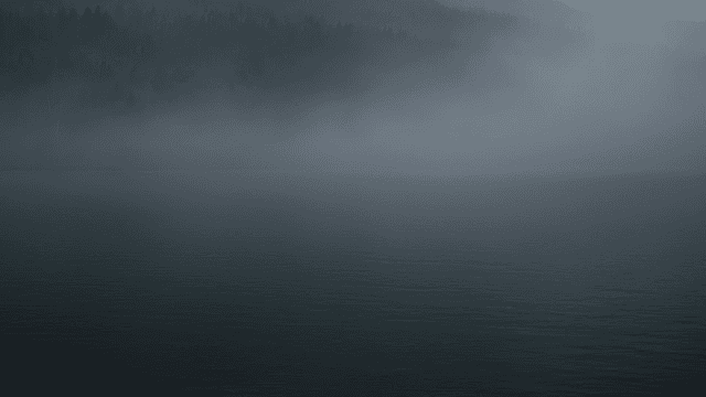 Foggy lake surrounded by forest.