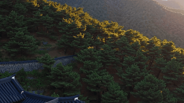 햇빛이 비치는 숲과 전통 한옥 지붕