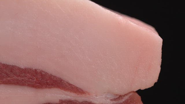 Close-up of raw pork with fat layers