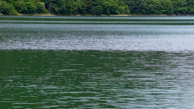 Calmly flowing waves of the lake