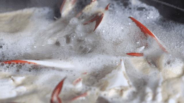 Crab legs boiling in a pot
