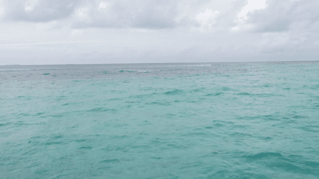 흐린 하늘 아래 잔잔한 바다 물결