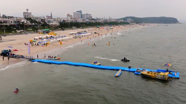 해변에서 수상 스포츠를 즐기는 사람들