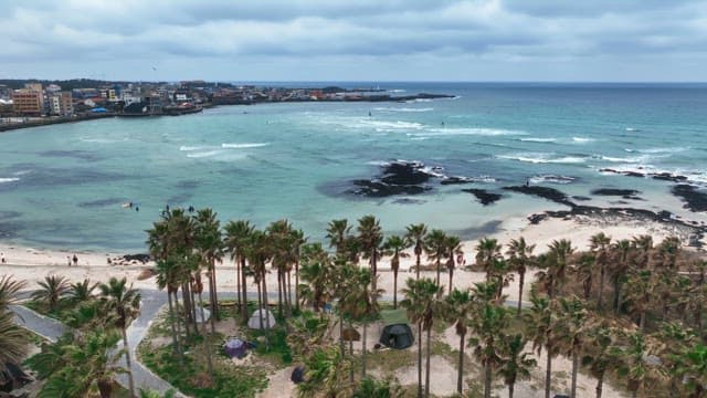 Turquoise sea with palm trees and beach