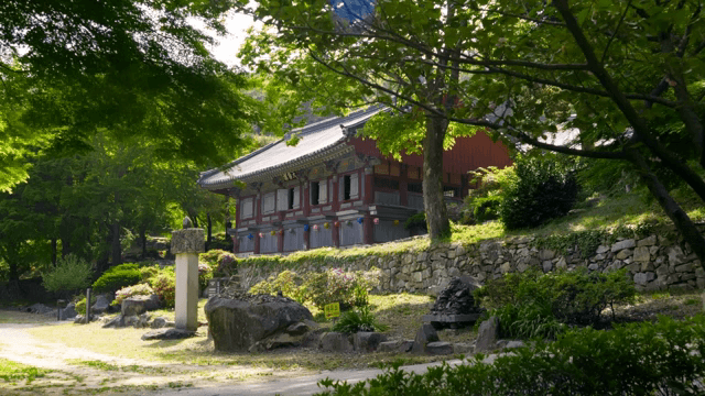 나무로 둘러싸인 전통 사찰