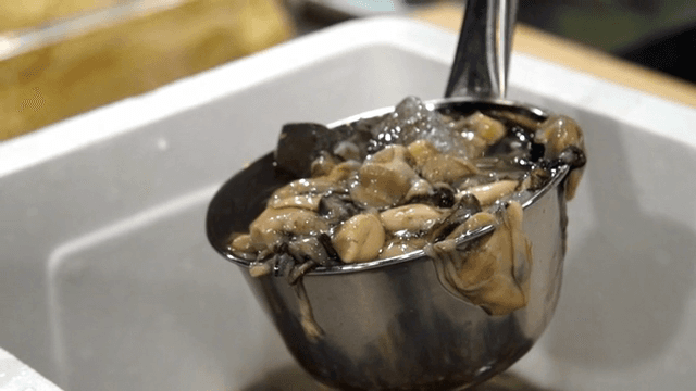 국자에 담긴 신선한 생굴
