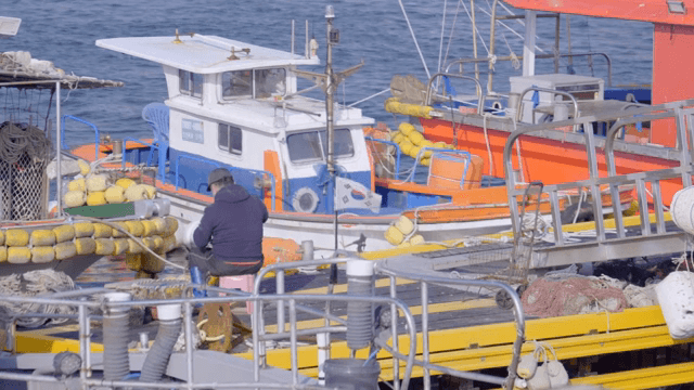 부두에서 배 위에서 일하는 어부