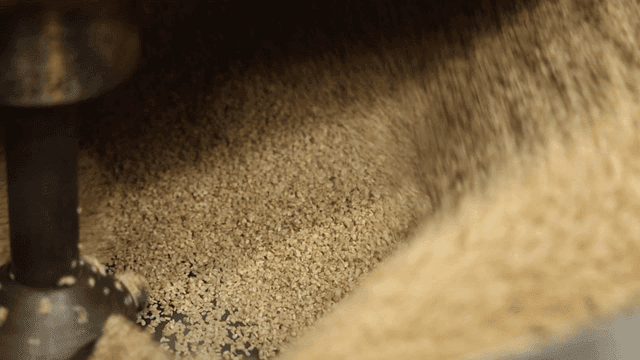 Sesame seeds being roasted in a machine
