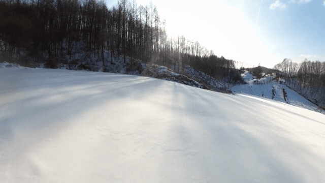 나무가 있는 눈 덮인 풍경