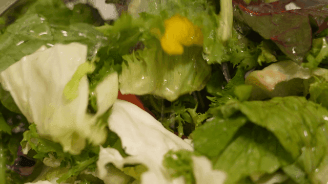 Washing fresh lettuce and vegetables