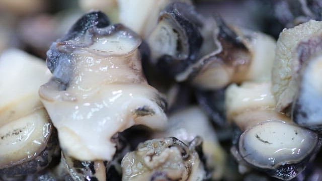 신선하게 손질된 우렁이의 근접 촬영