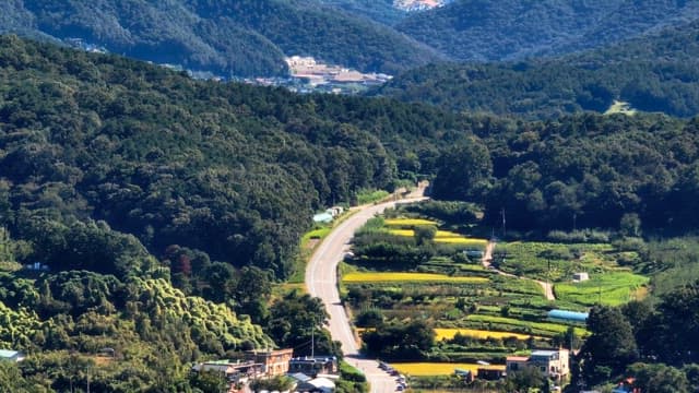 Winding road through lush green hills