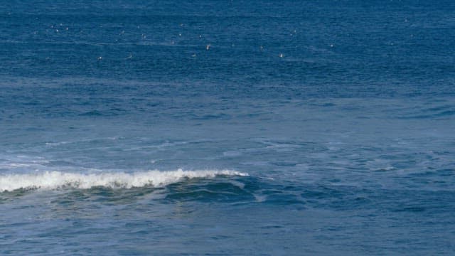 Dark blue waves of the sea crashing in shore