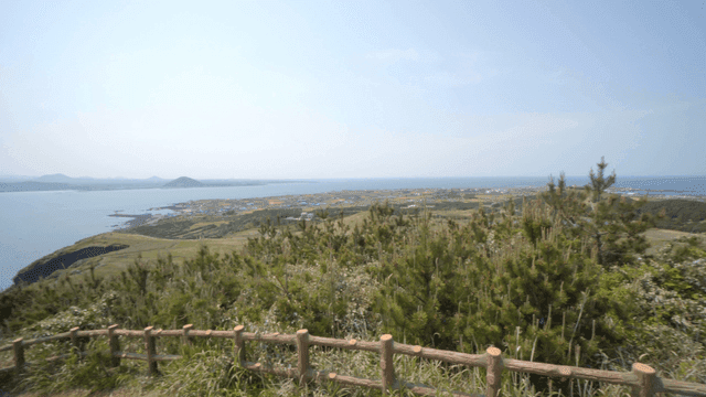 Scenic coastal view with lush greenery