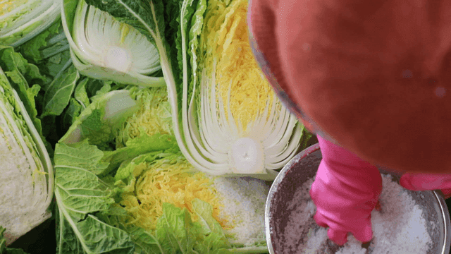 Salt being sprinkled on napa cabbage