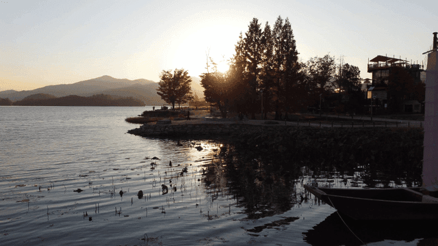 나무가 있는 고요한 호숫가의 일몰