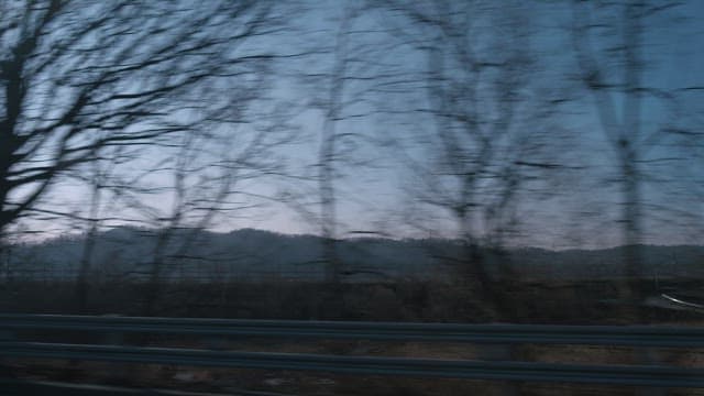 Trees and Mountains Seen from a Moving Vehicle