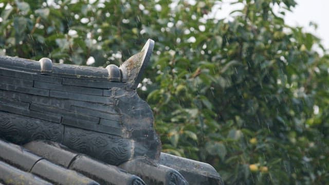 비 내리는 전통 한국 지붕