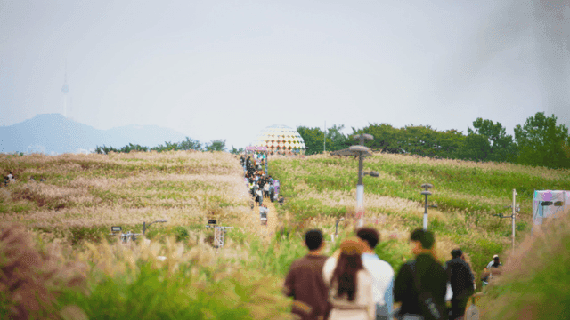 사람들이 걷는 아름다운 가을 들판