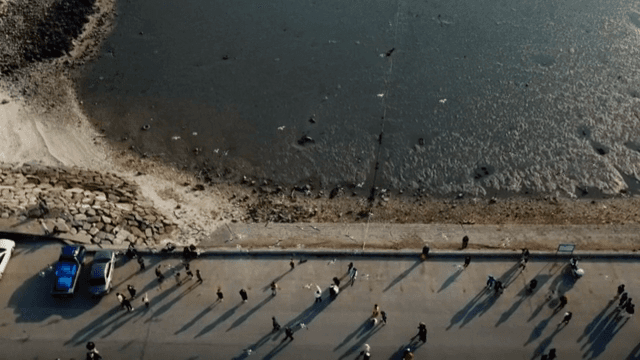 바다와 갈매기를 구경하는 사람들