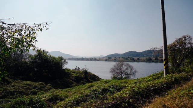 Serene riverside with lush greenery and mountains in the distance on a calm day