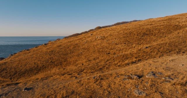 Coastal Grassland at Sunset