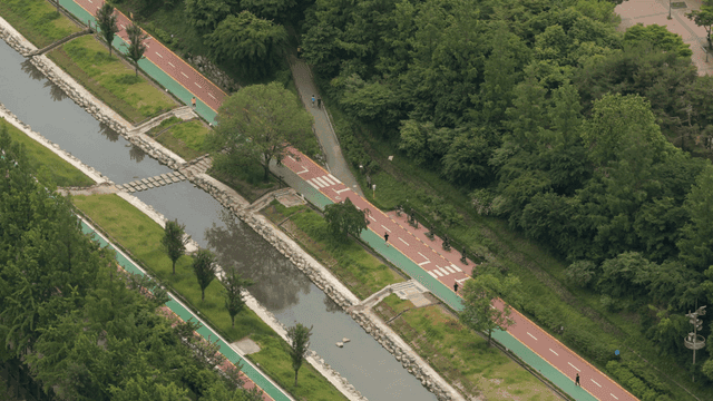 녹지가 우거진 강변 산책로