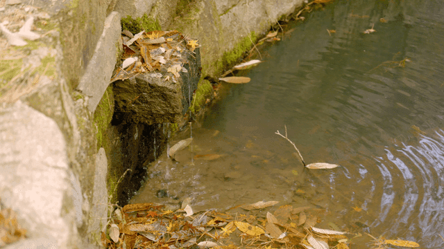 Small stream flowing from rock