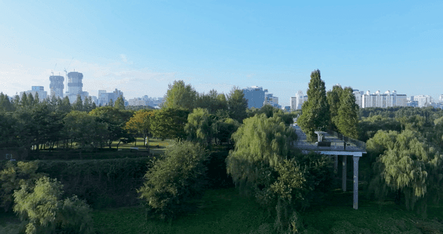 푸른 녹지와 도시 스카이라인