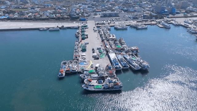 정박한 배들이 있는 번화한 항구