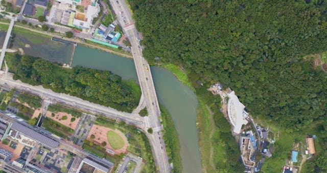 강과 숲이 있는 도로의 전경