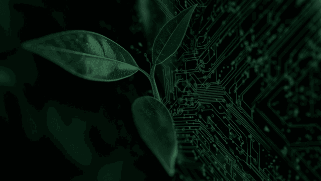 회로 패턴과 얽힌 잎사귀